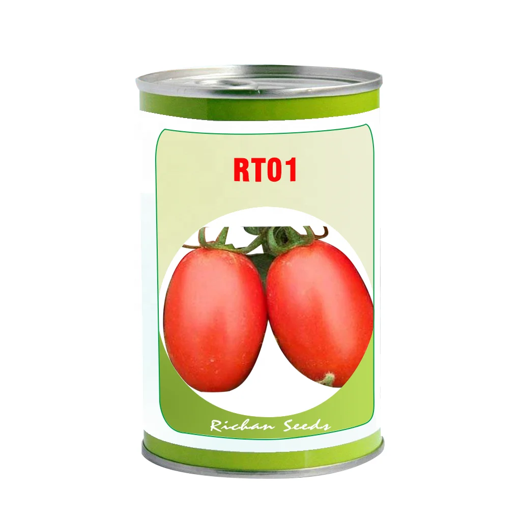 
F1 hybrid tomato seeds with early maturity unlimited type oval red firm fruit TMV resistance vegetable seeds 