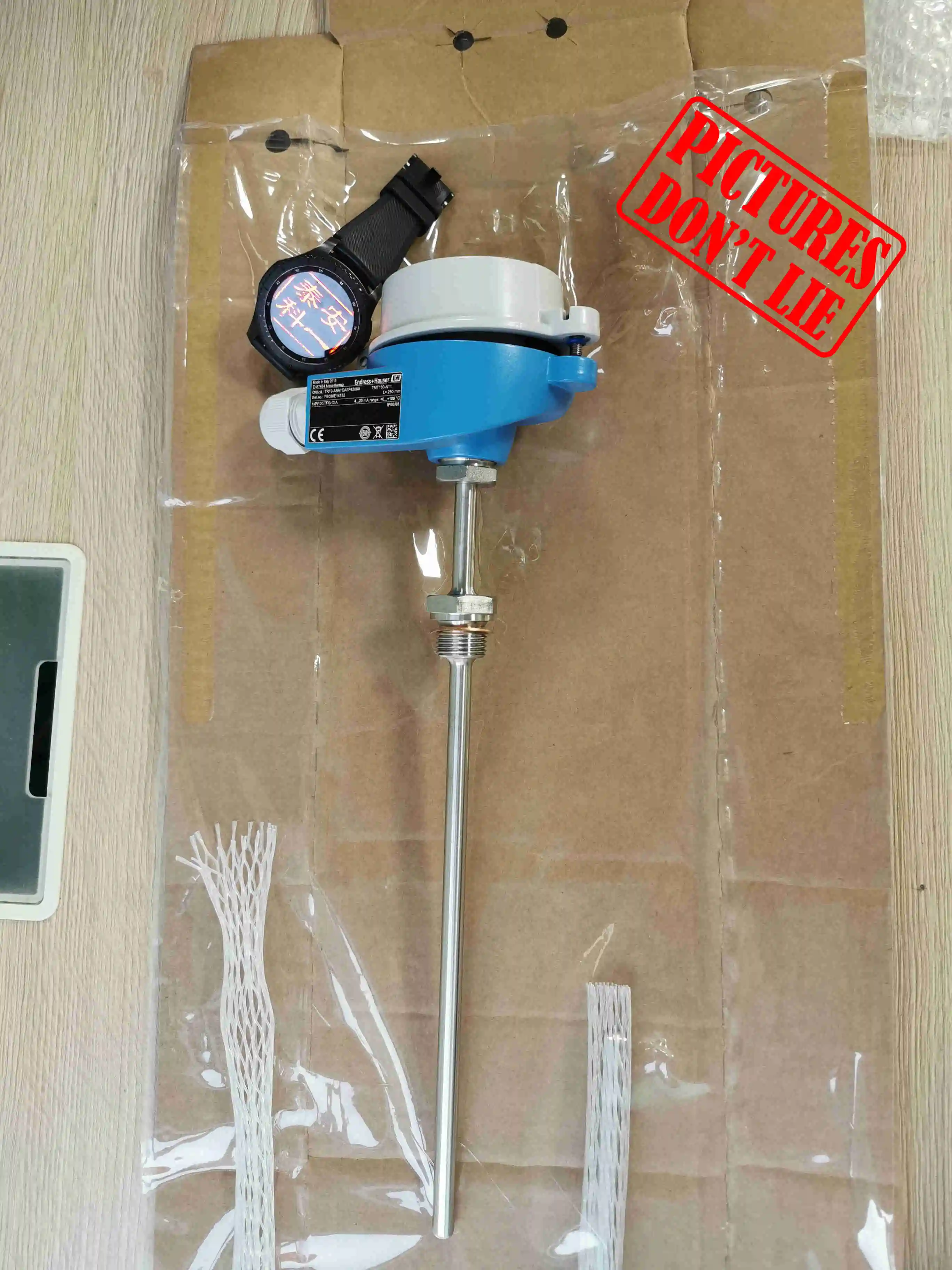 Endress+hauser Temperature( E+h) Explosionproof Pt100 Thermometer Tr10