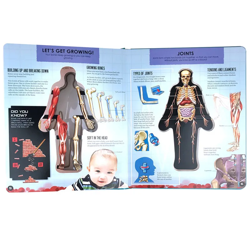 Anatomy Of The Human Body In English Popular Science Book 3d Picture