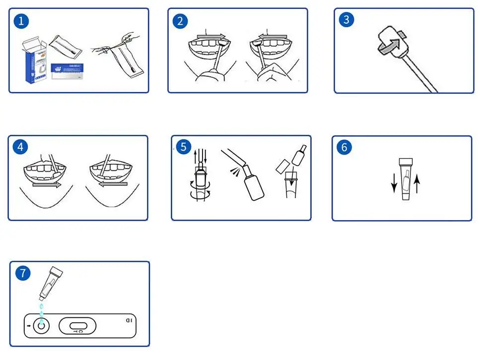 Rapid Test Kit-3.jpg
