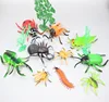 2019 spot realistic pvc animal model toy plastic insects spider beetle toy