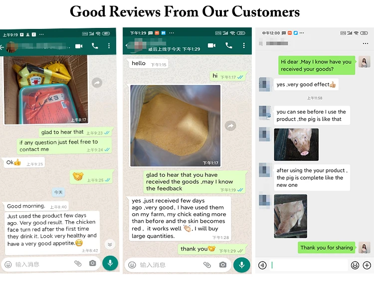 DUTTO Feed Additive (2).jpg