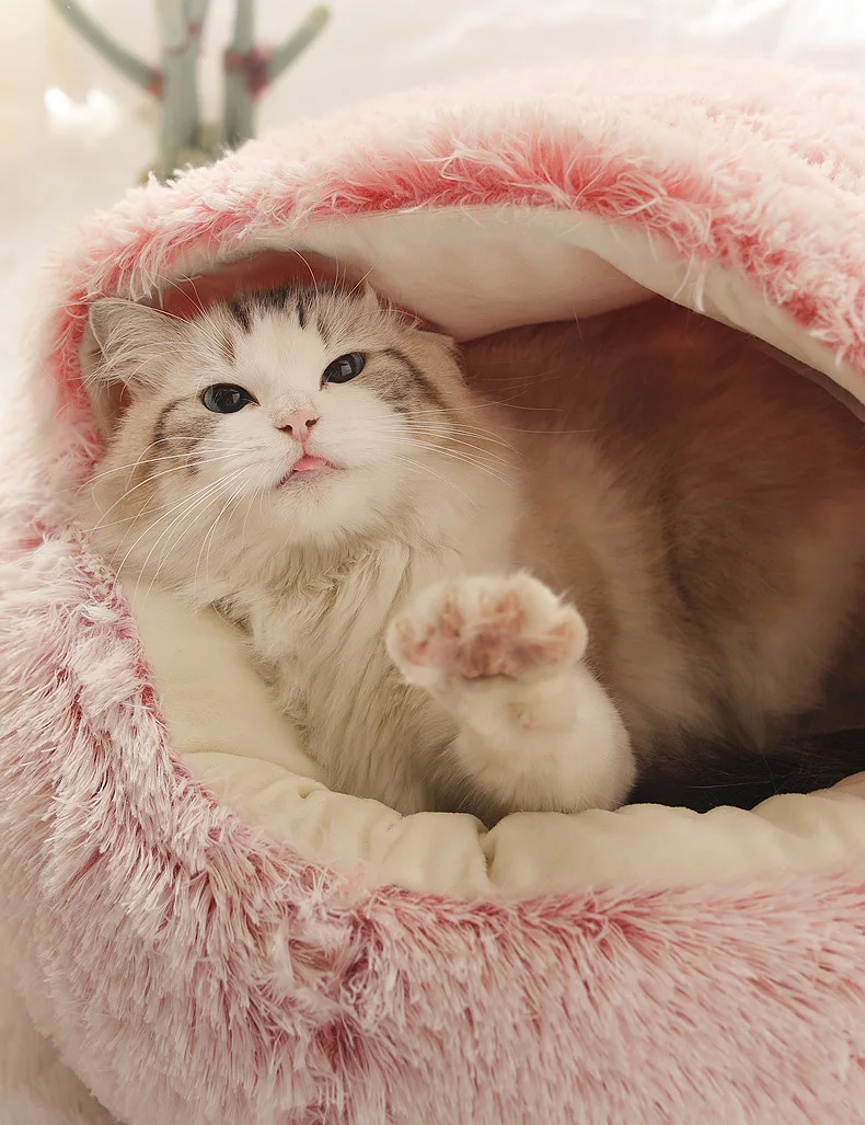 cat bed 09.jpg