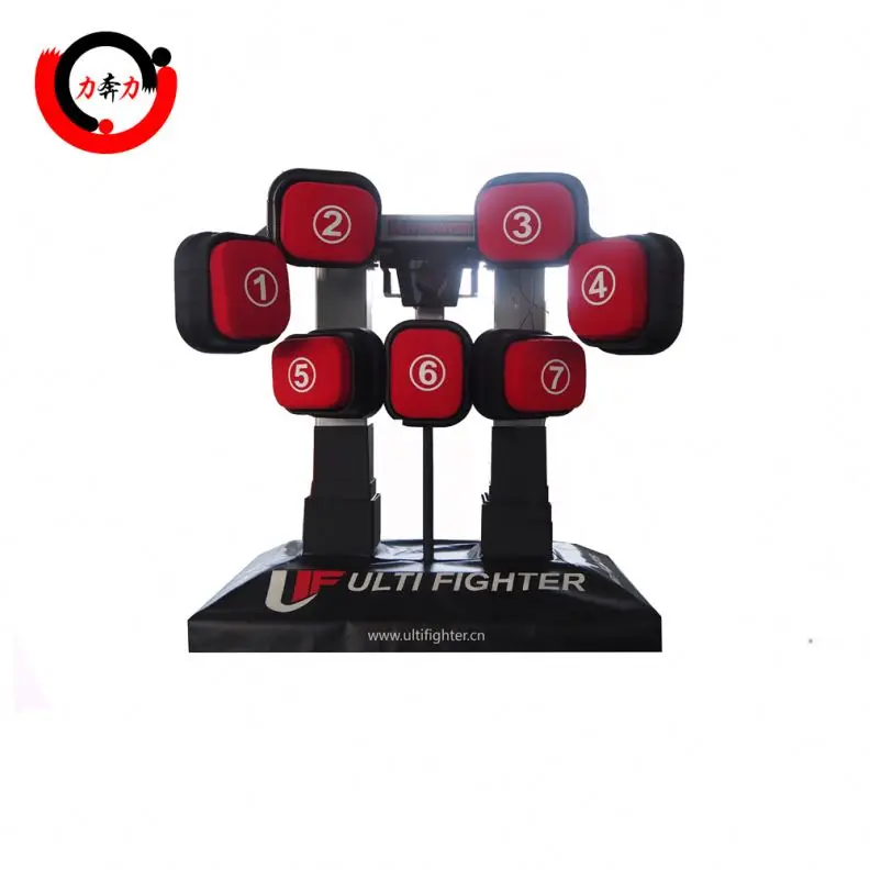 boxing training apparatus