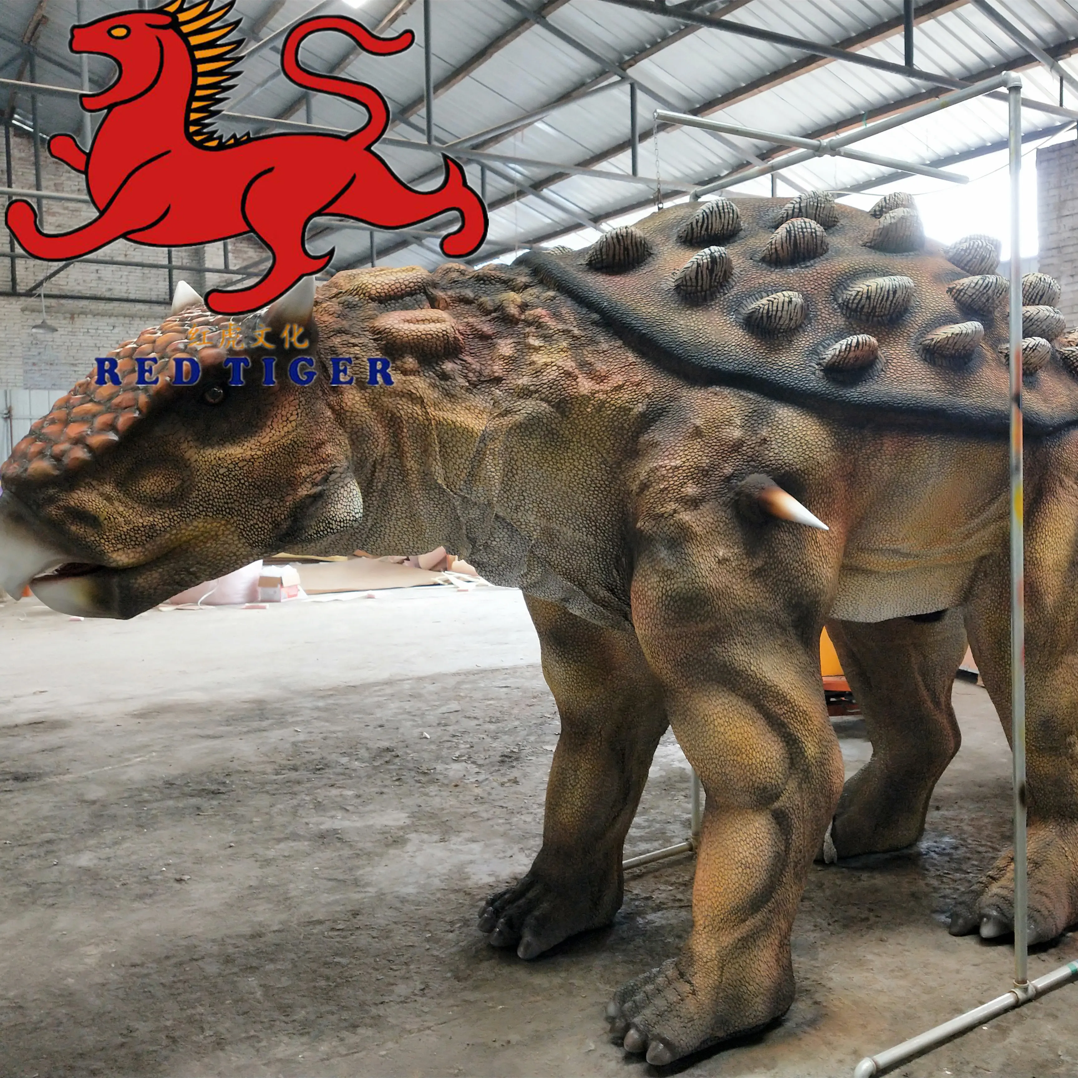 ab.jpg