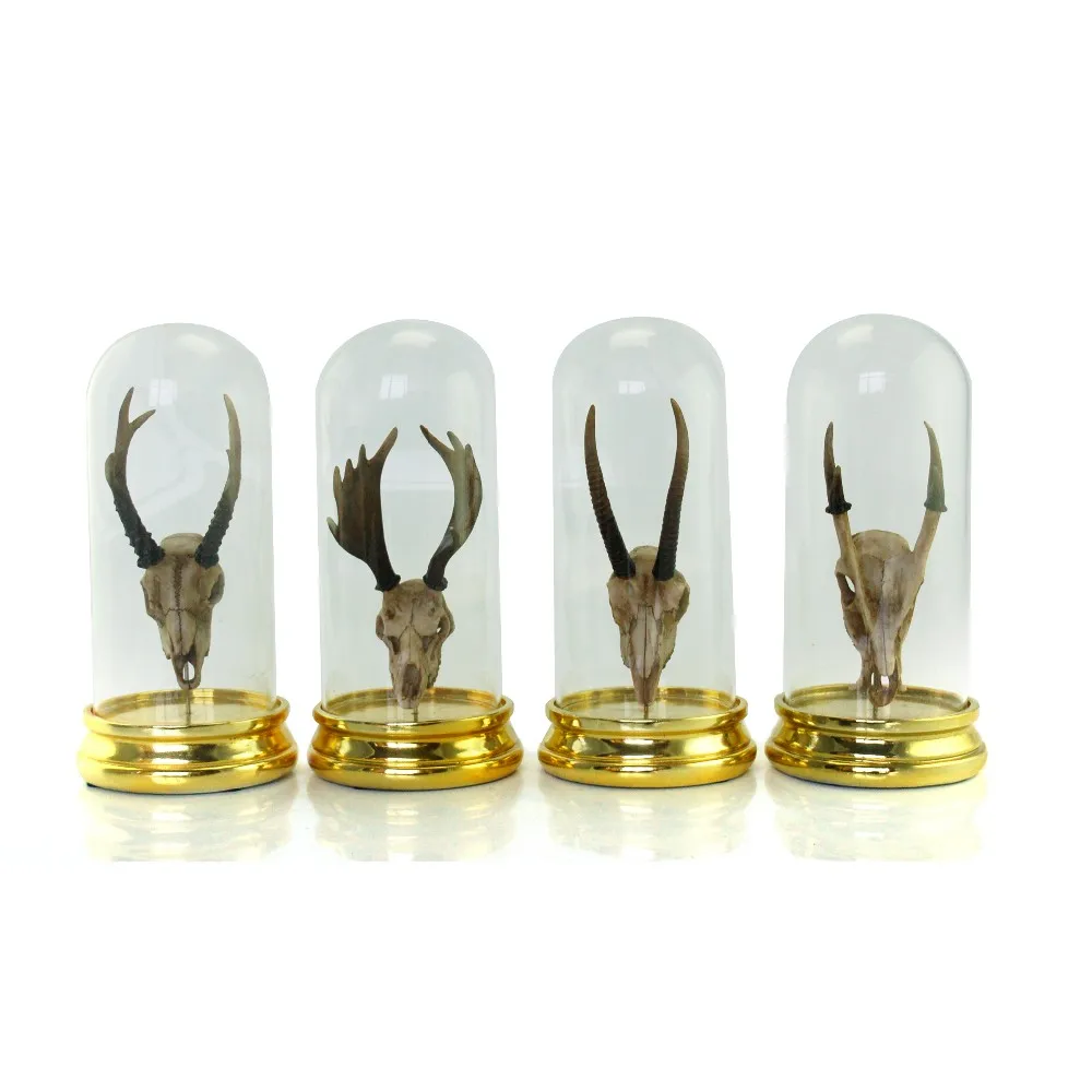 Resin Flocked Animal Skull Antelope Head Sculpture with Glass Cover Decoration supplier