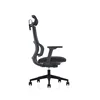 2019 new launch ergonomic chair with unique elastic ring lumbar support and thick seat cushion office chair