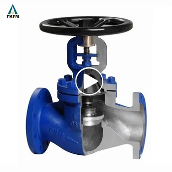 Din Standard Bellows Seal Ptfe Lined Dn150 Pn40 Cast Iron Globe Valve ...