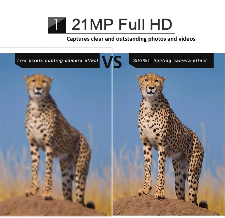 detailed 1.jpg