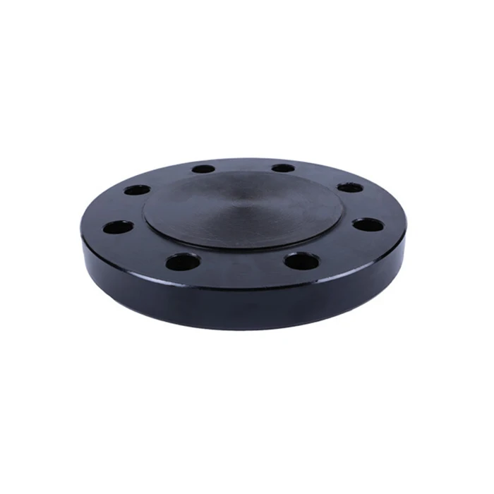 dn1200 big size carbon steel forged-blind-flange bs4504 pn16