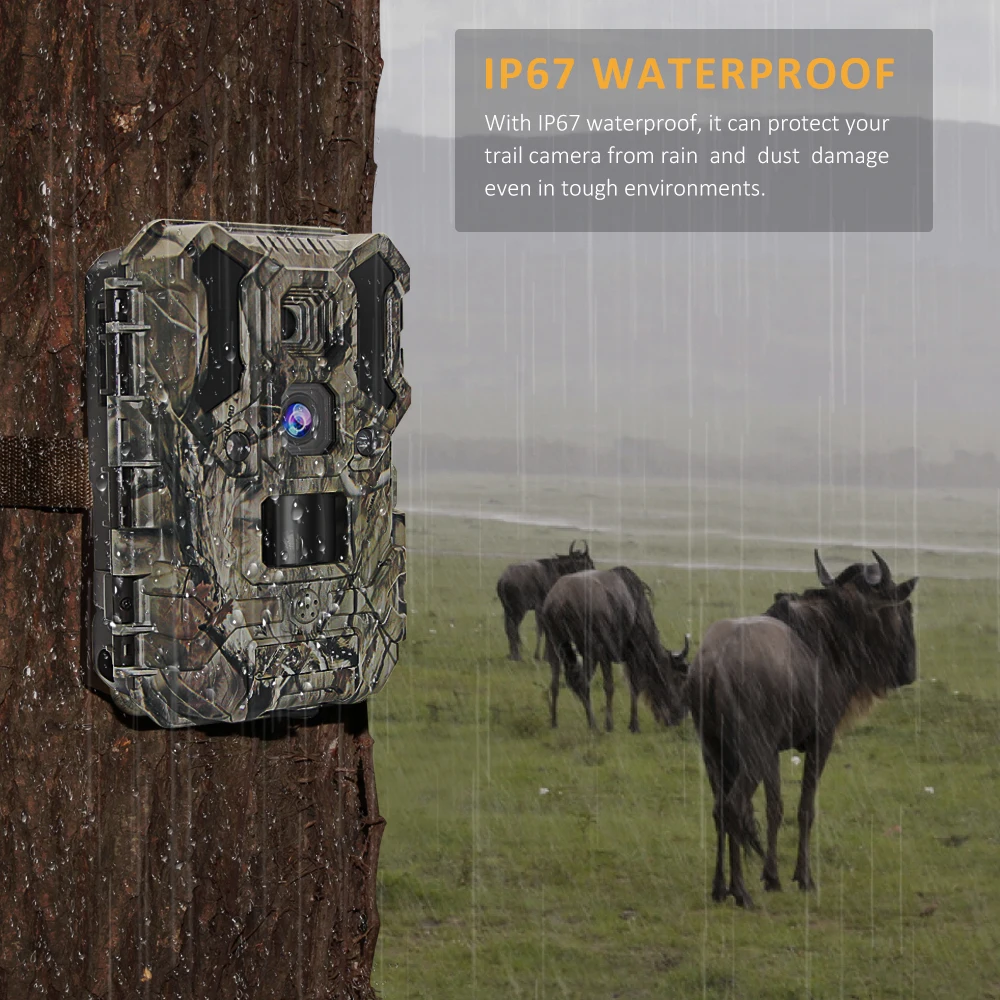 Keepguard China Sim Card Security Hunting Camera Outdoor Small Night