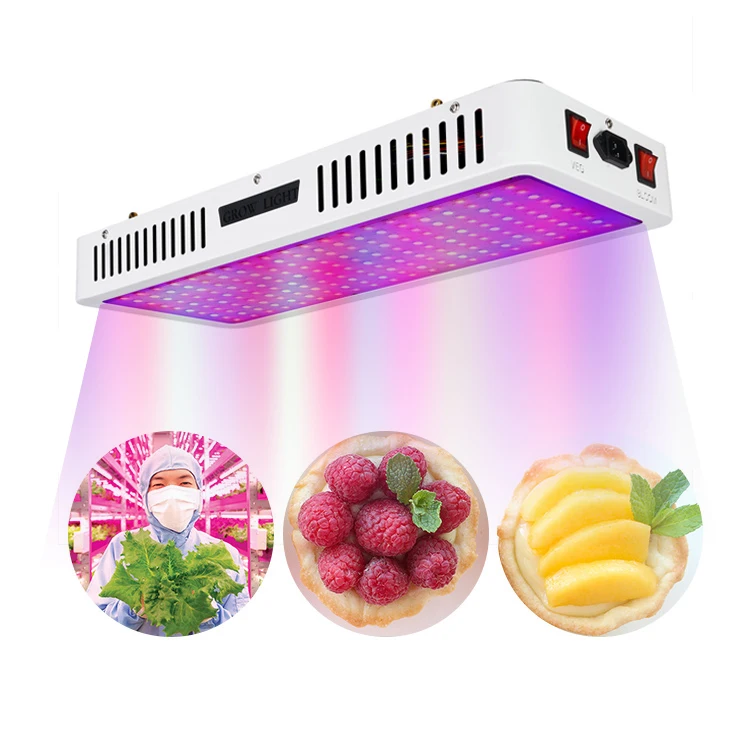 2019 Shenzhen Dual Chip 600w 1200w 1500w 1800w 2000W Led Grow Light Full Spectrum Cob Led Grow Light for Indoor Growing