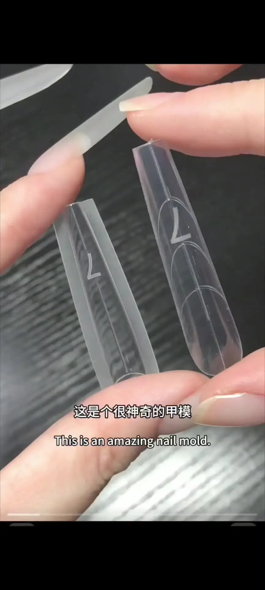 New 240 Pcs/Box Dual Nail Tips Form - Quick Extension Sandwich