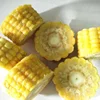 High Quality Sweet Corn Cob Cutting Machine/Corn Top And Tail Cutting Machine