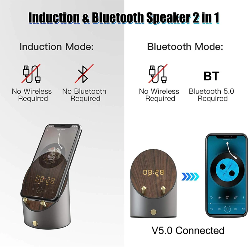 induction speaker