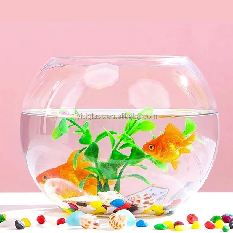 Desktop Cheap Round Glass Globe Fish Bowl Aquarium Vase Buy Glass