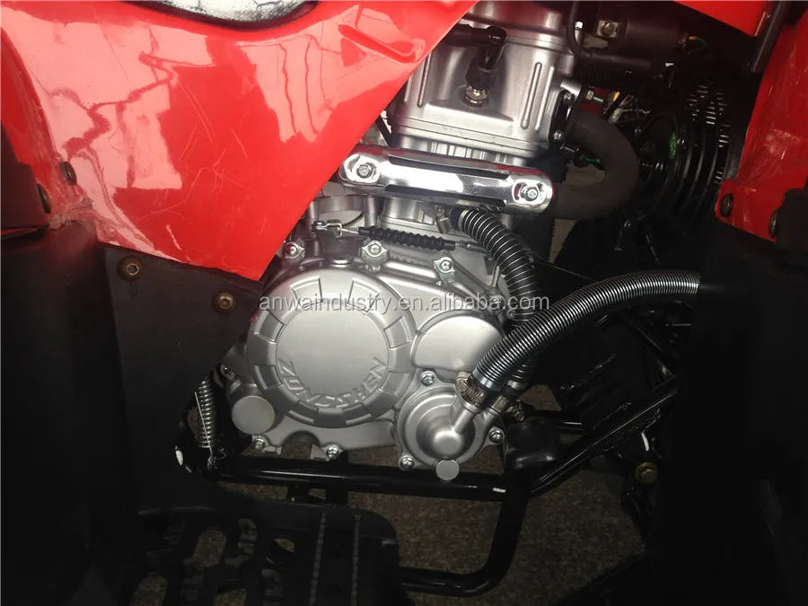 Hot Sale 150cc/200cc/250cc Adults Gasoline Quad Bike ATV