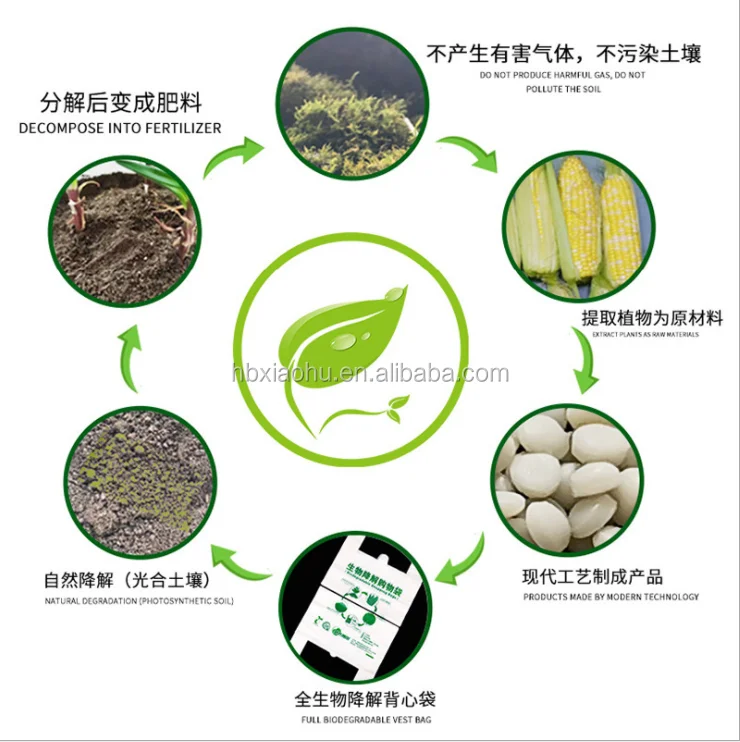 100% 可生物降解可堆肥个性化邮袋定制玉米淀粉包装运输袋印刷