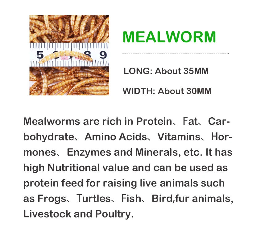 Customised Ecofriendly High Protein Nutritious Microwave Dried
