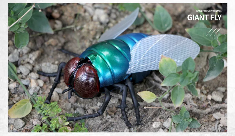 批发热卖创意人造昆虫塑料遥控苍蝇瓢虫红外遥控玩具儿童玩具