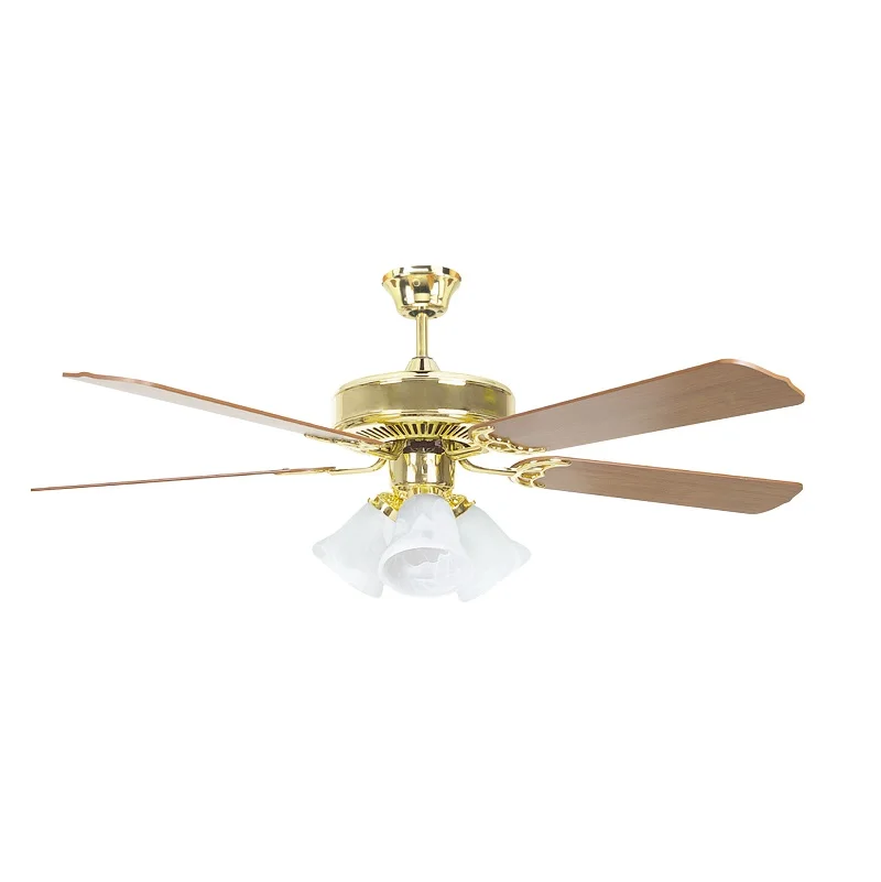 Premium Quality Luxury Fancy Decorative Ceiling Fan with Light and Remote