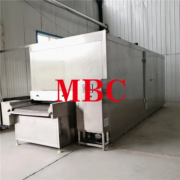  IQF frozen french friesTunnel Freezer.jpg