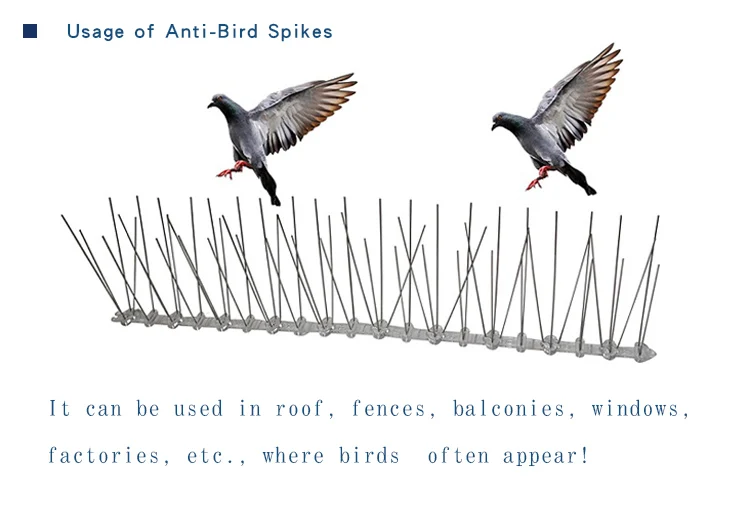SS Bird Spikes (11)