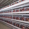 fully automatic 4 tier chicken layer cage by robot welding technology is the first factory in the field of animal husbandry