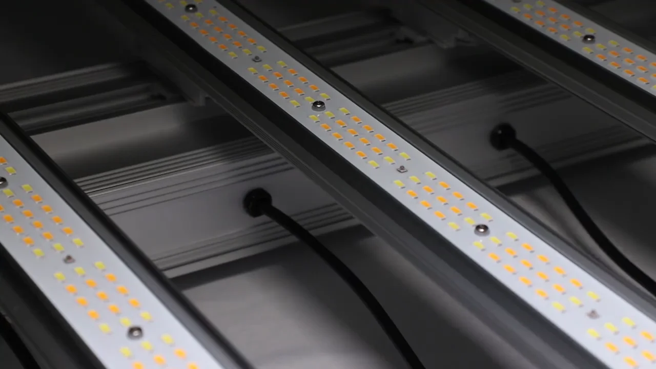 Top Quality 9 Bars Horticulture Lighting Full Spectrum Lm301b Grow