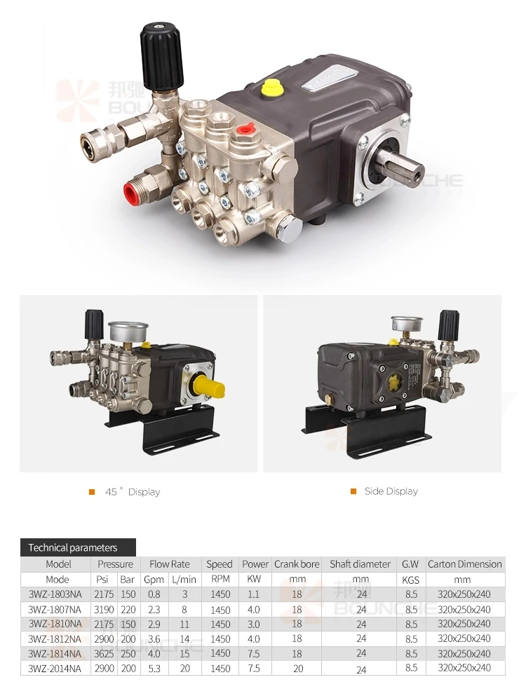 1810NA Plunger pump1.webp.jpg