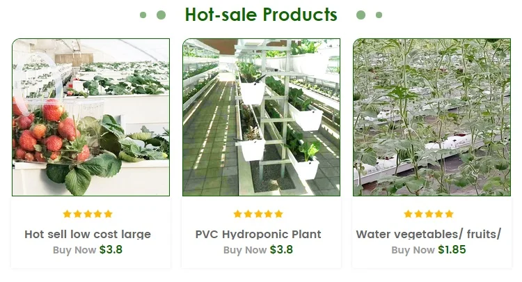 hydroponic gutter for strawberry