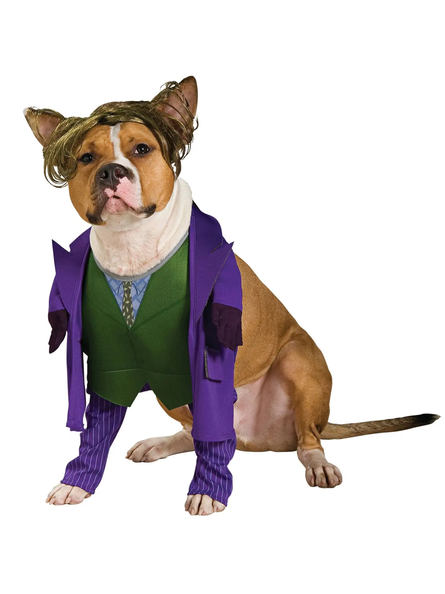 pc0023 pet joker costume small dog costume with wigs