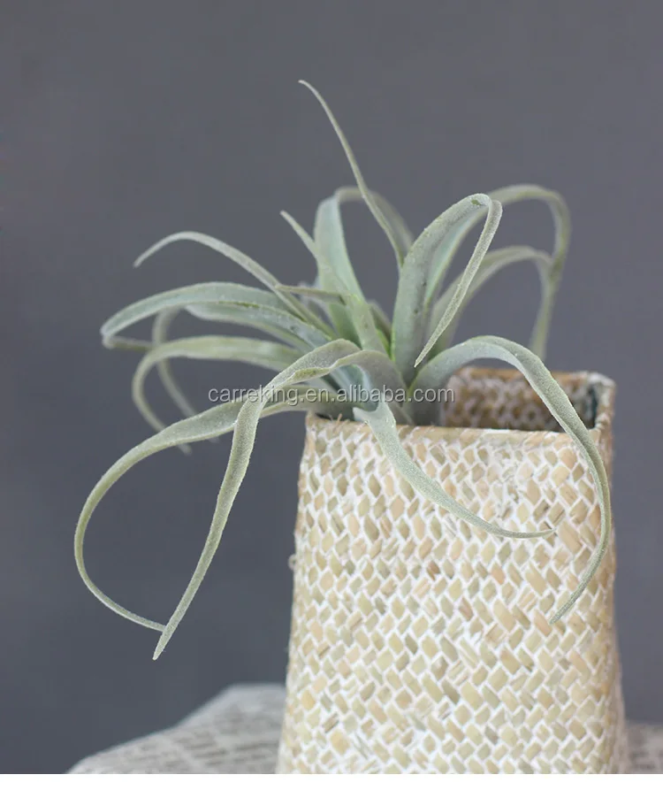 Artificial Flocking Tillandsia Air Plants Faux Succulents Bromeliads