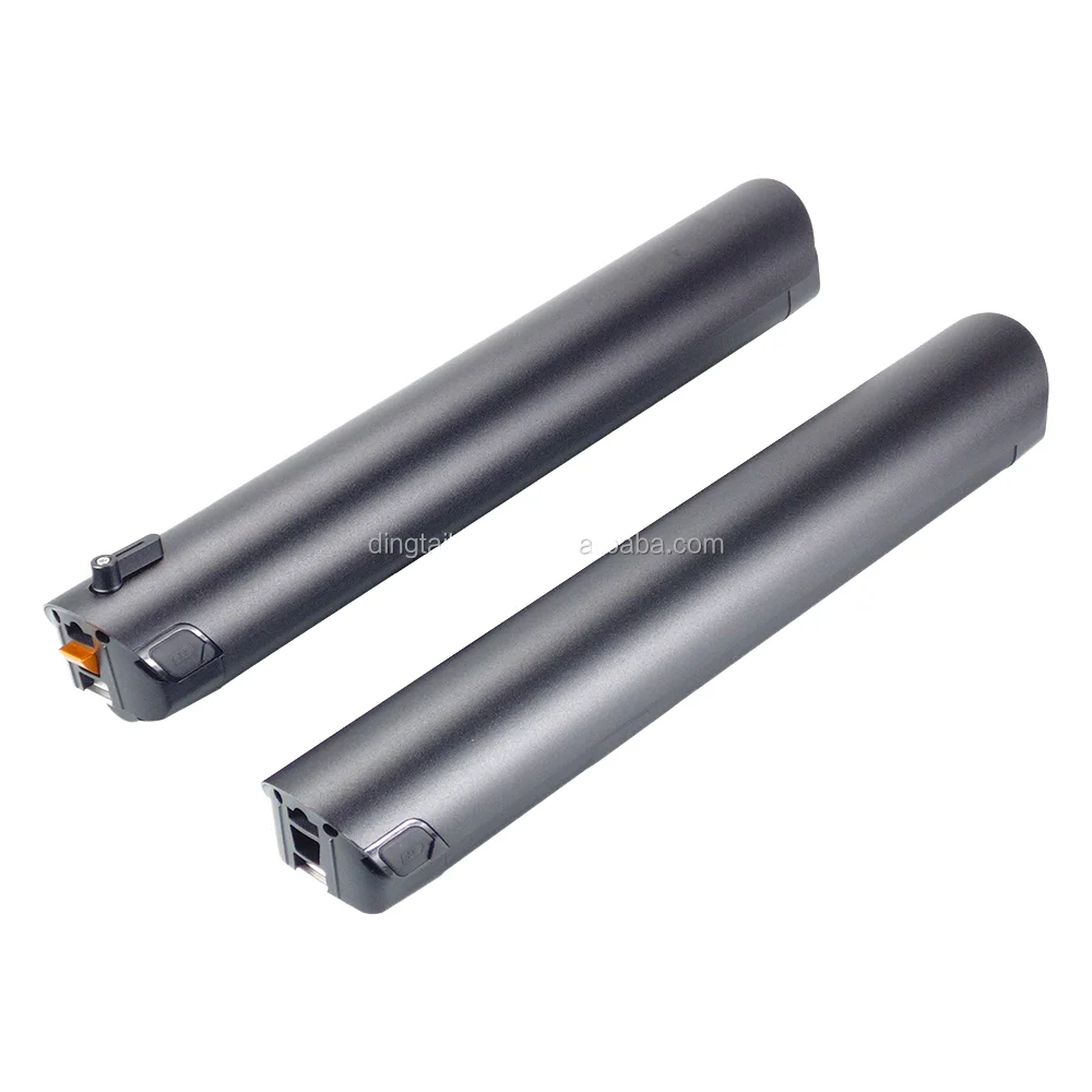 bmz lithium ion battery