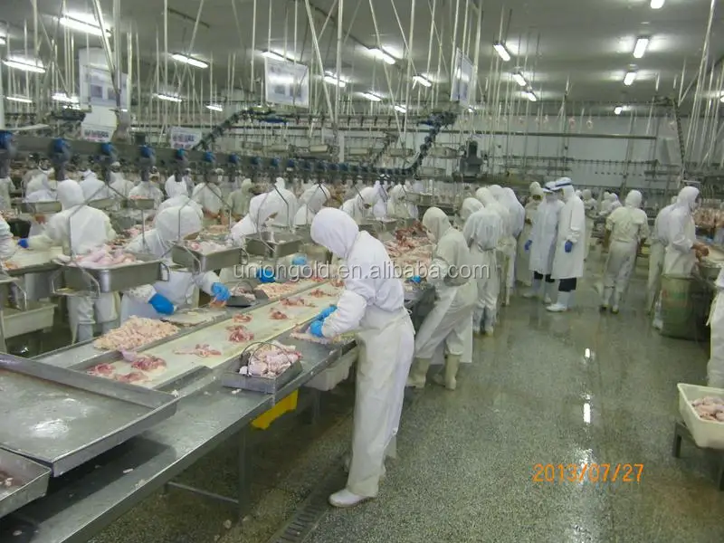 production line 2.jpg