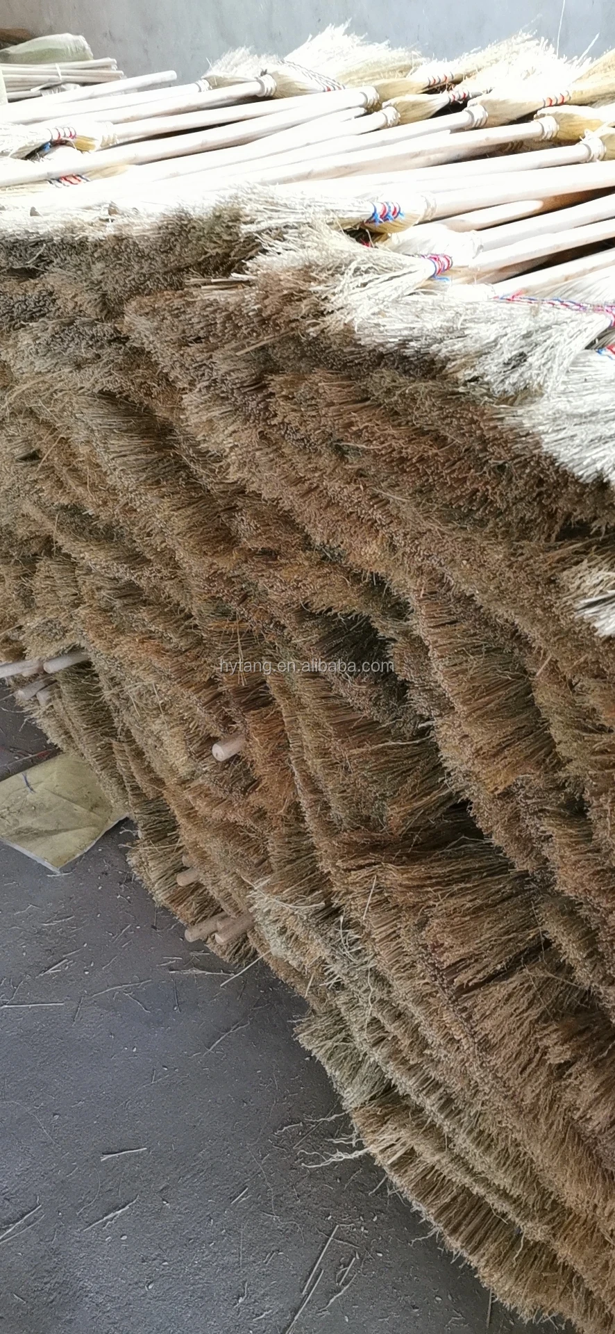 _201911191301201.jpg