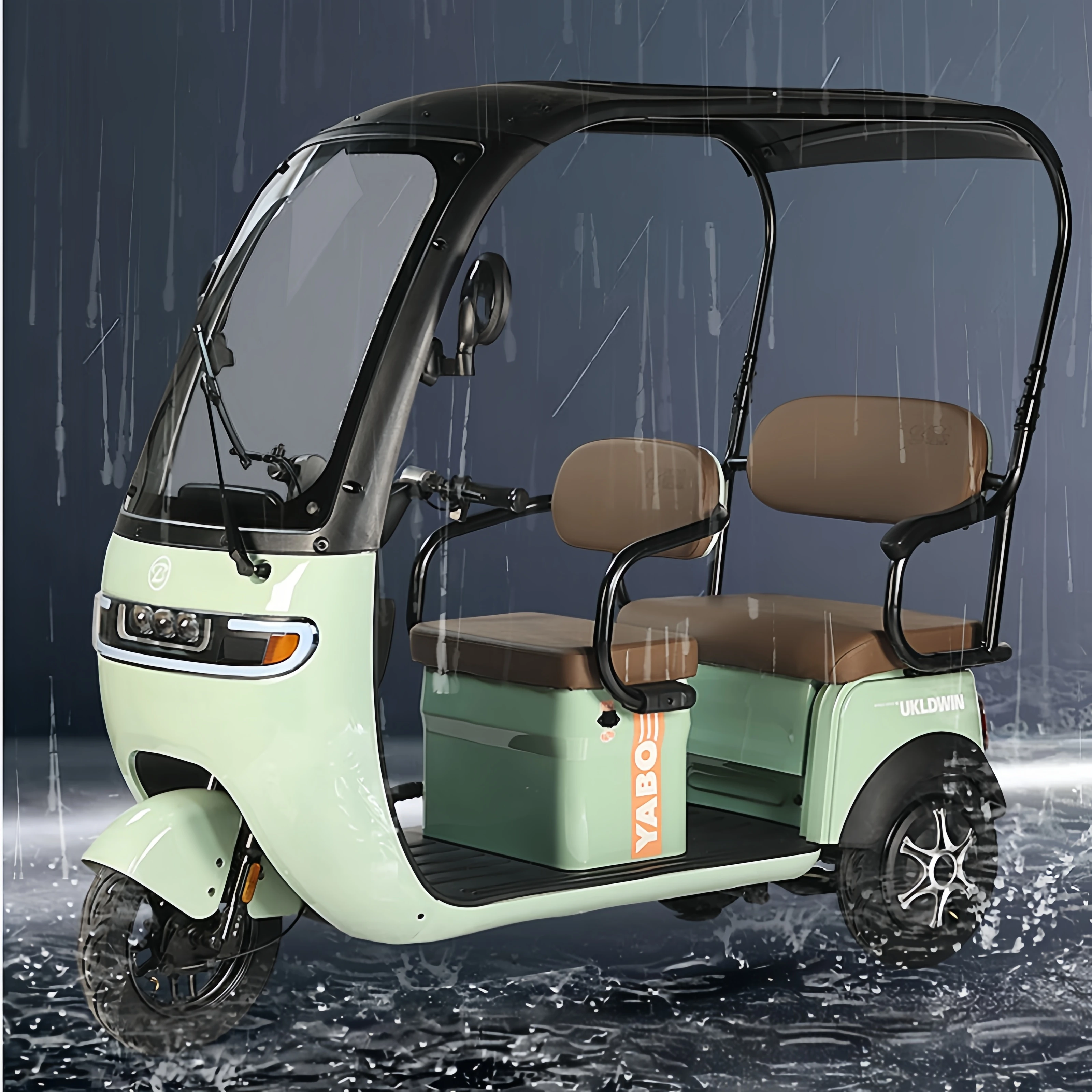 Mini New Energy Electric Rickshaws EEC Certified 48v/72v Passenger ...