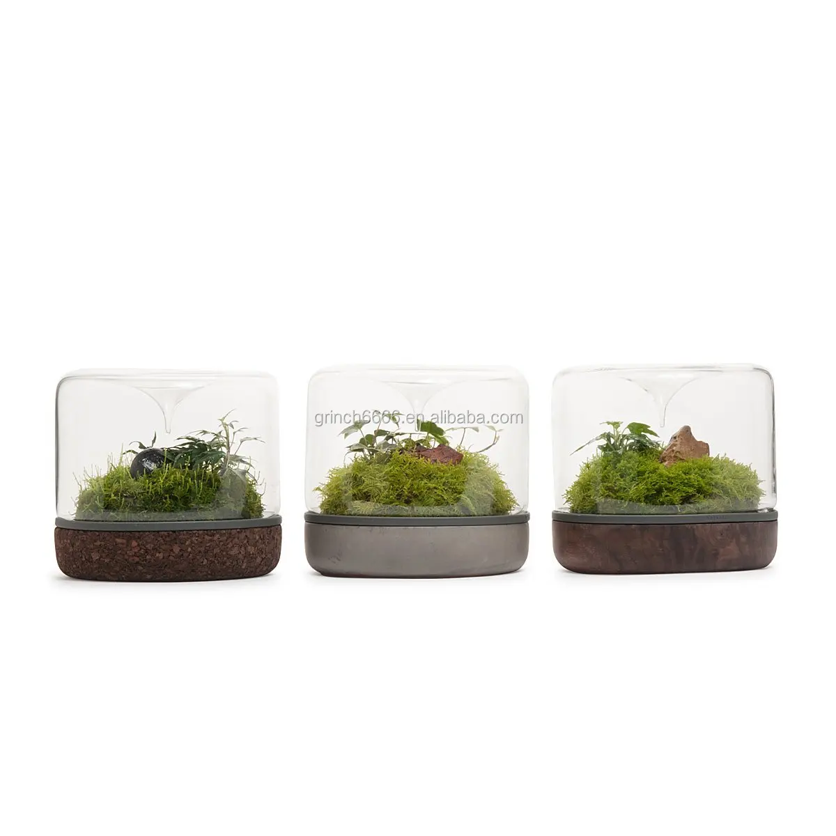 Source Sanctuary Rainforest Terrarium Oak Base terrarium container