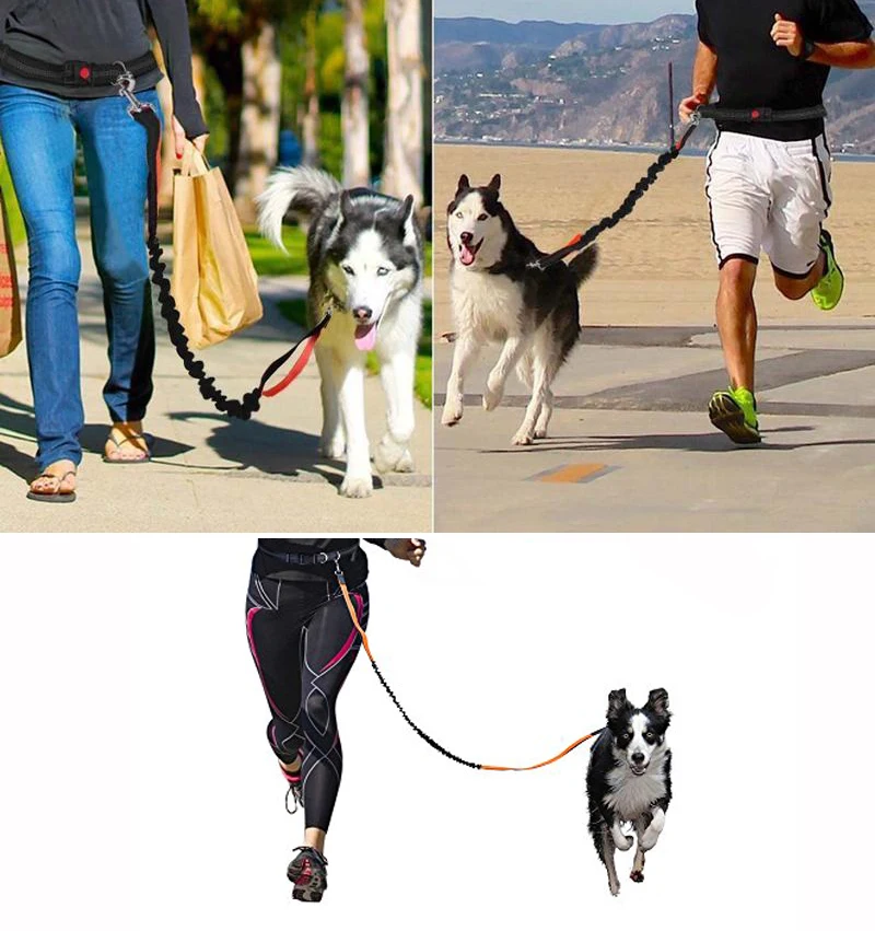 Hands Free Dog Leash For Running Walking Training Hiking,Outdoor ...