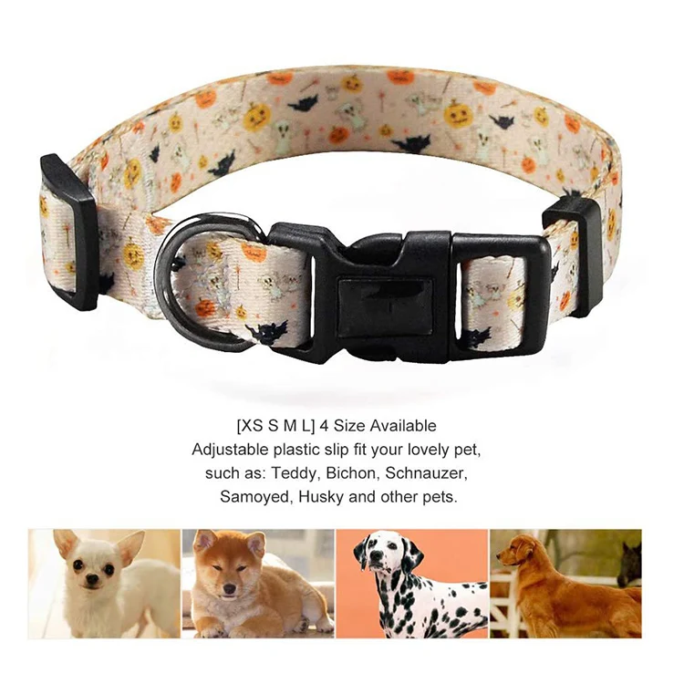 Pet Collar-83