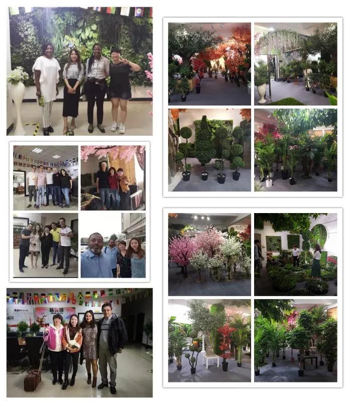 paste-pic-dp_uuid_2zafg