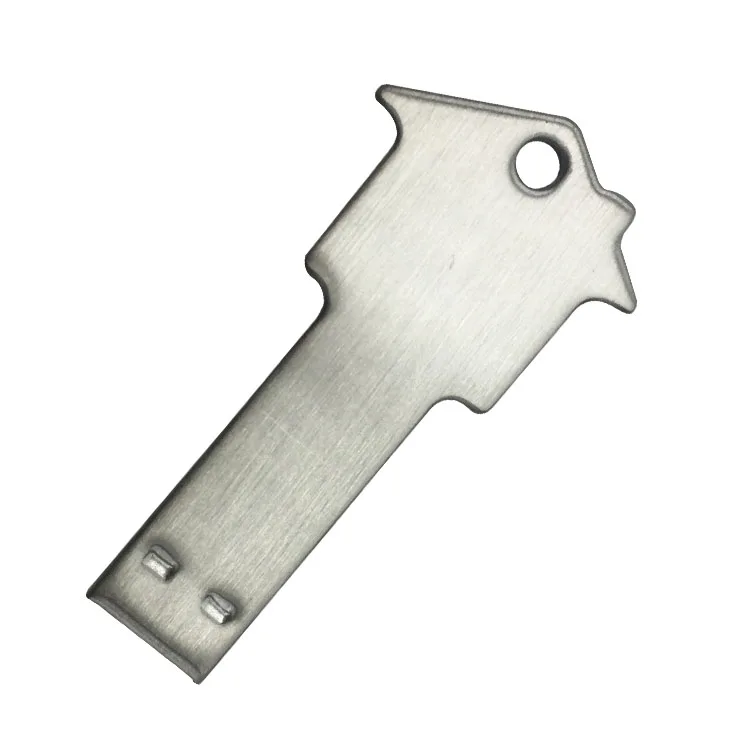 house usb key (29)