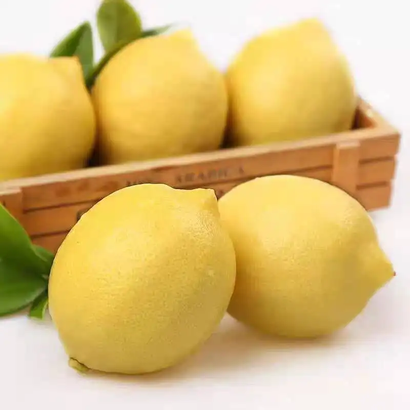 
Hot sale Wholesale Price fresh fruits Fruit Lemon 