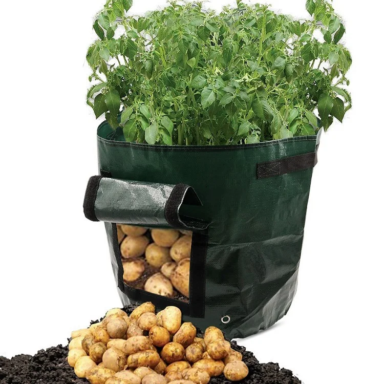 2018 Nova Planta Crescer Saco Plantador De Batata Diy Crescer Pano Pe Container Bag Engrosse Jardim Pote Suprimentos De Plantio De Tomate Buy Fontes Do Jardim Vertical 2019 Nova Planta Cresce Saco