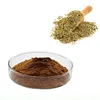 Hot Sales No Side-effect Organic Yerba Mate Concentrate Extract with Top Quality