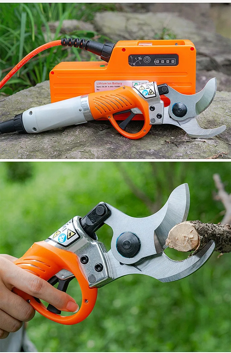 Pruning Shear39