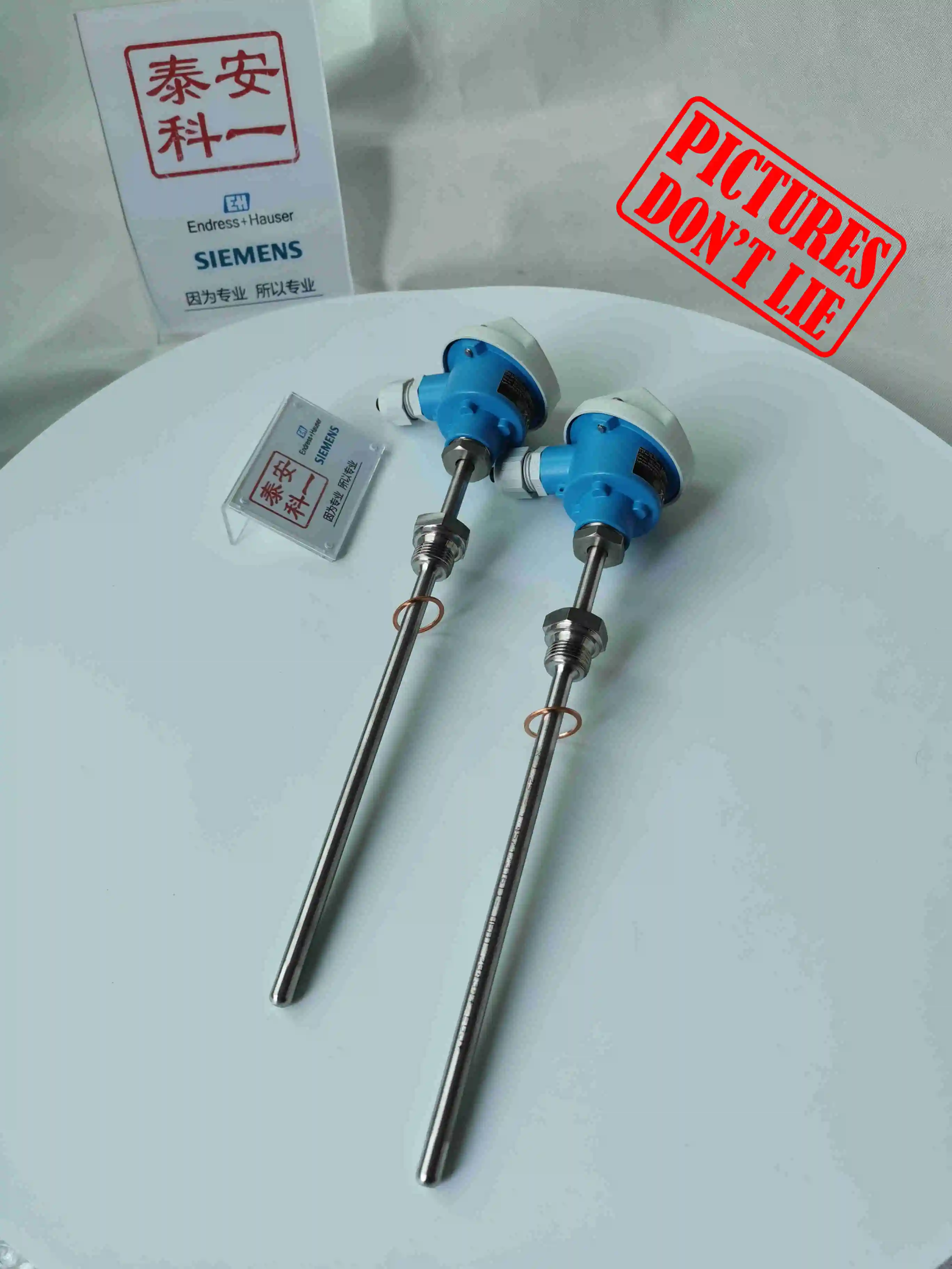 Endress+hauser Temperature( E+h) Explosionproof Pt100 Thermometer Tr10