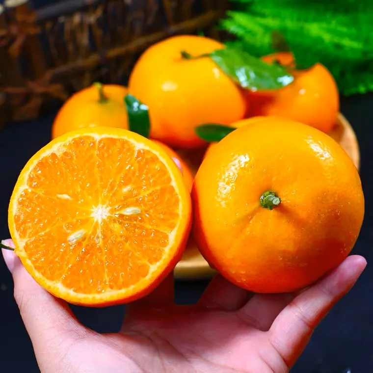 Fresh Citrus Fresh Orange Available All Year Round Delicious And Juicy