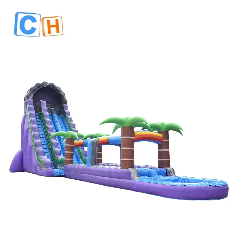 Customized Inflatable Water Slide Inflatable Water Slides For Sale