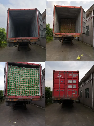 container picture.png